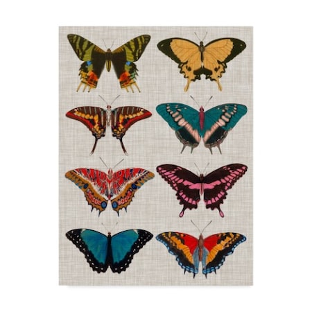 Vision Studio 'Polychrome Butterflies I' Canvas Art,35x47